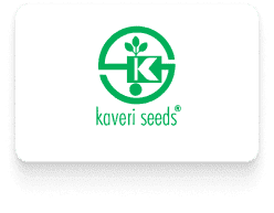 Home New 49 Client Kaveri seeds logo