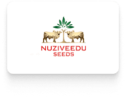 Home New 53 Client Nuziveedu seeds logo